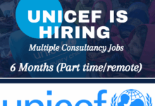 UNICEF Multiple Consultancy Job Vacancies: 6 Months (Part time/remote)