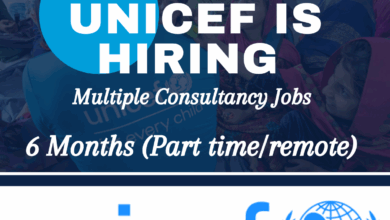 UNICEF Multiple Consultancy Job Vacancies: 6 Months (Part time/remote)