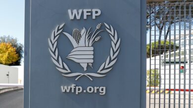 2025 World Food Programme Vacancy Spotlight: Programme Assistant (Research, Assessment & Monitoring – RAM) in Ngaoundéré, Cameroon