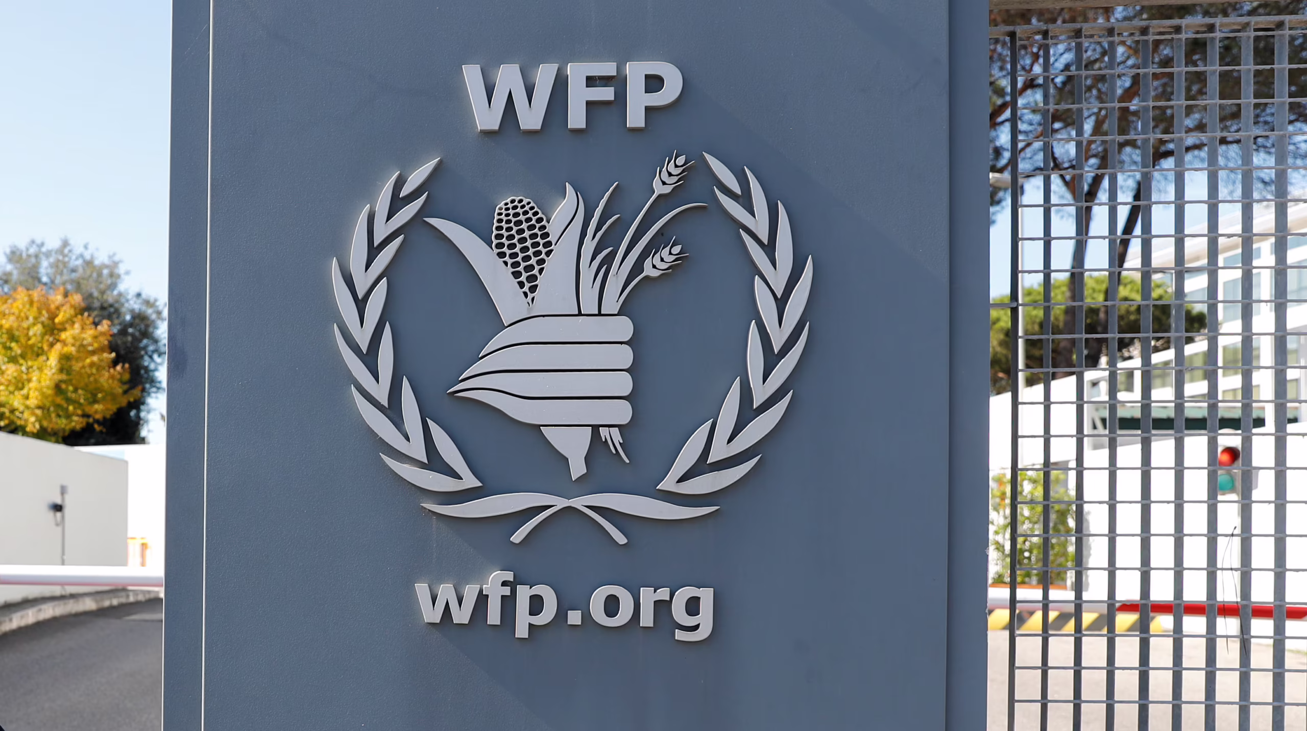2025 World Food Programme Vacancy Spotlight: Programme Assistant (Research, Assessment & Monitoring – RAM) in Ngaoundéré, Cameroon