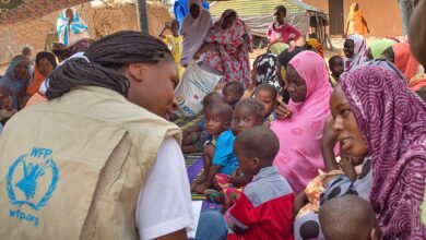 Exciting UN Career Opportunity: Programme Associate At WFP | Apply By 11 Sept 2025