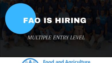 FAO is Hiring Multiple IT Specialists 2025.