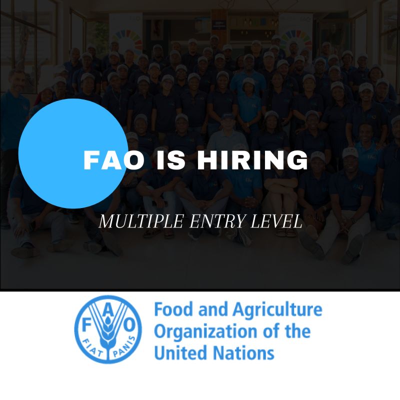 FAO is Hiring Multiple IT Specialists 2025.
