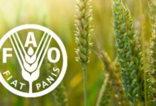 Apply for FAO’s 2025 Data for Farm Value Global Challenge – Big Cash Prizes For Young Changemakers Worldwide