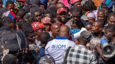 Programme Associate Vacancy At IOM: 2025 Case & Project Support Assistant Driving Labour Mobility and Social Inclusion