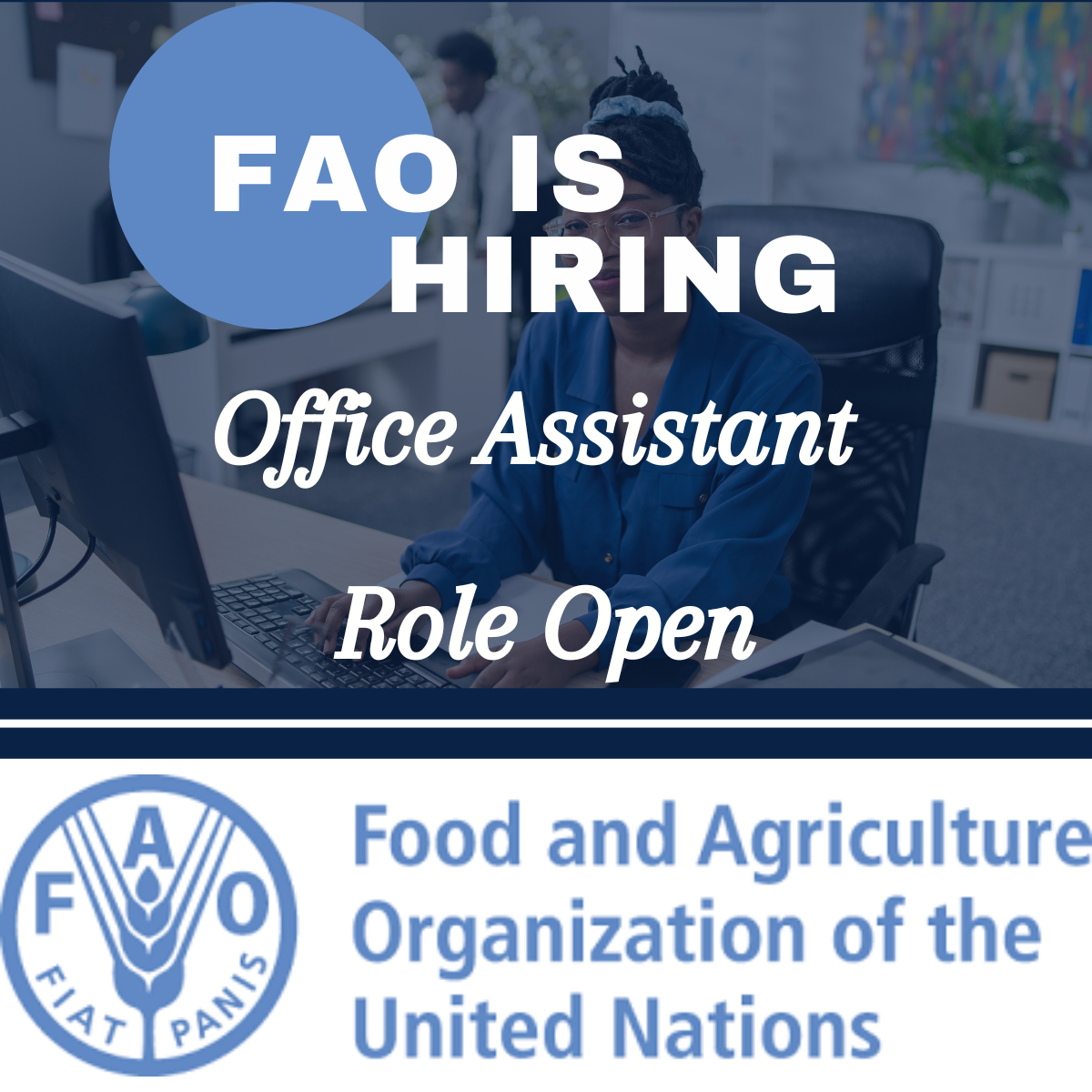 Kickstart Your Career: FAO Office Assistant Role Open 2025