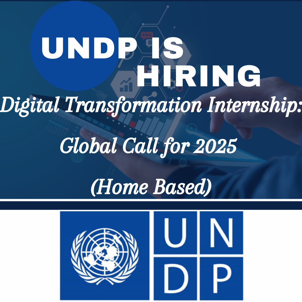 UNDP Digital Transformation Internship: Global Call for 2025 (Home Based)