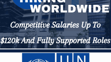 UNDP Now Recruiting Worldwide: Competitive Salaries Up To $120k And Fully Supported Roles