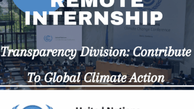 Paid Remote Internship With UNFCCC Transparency Division: Contribute To Global Climate Action