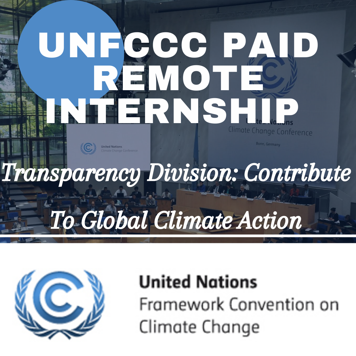 Paid Remote Internship With UNFCCC Transparency Division: Contribute To Global Climate Action