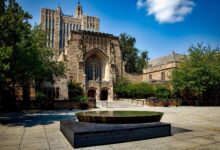 Yale Peace Fellowship 2026: Fully Funded Leadership Program In The United States