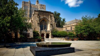 Yale Peace Fellowship 2026: Fully Funded Leadership Program In The United States