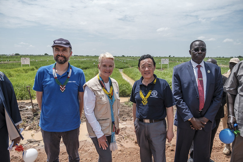 FAO Opens Applications For Assistant FAO Representative (Administration) In Cuba 2025 – Strengthening Sustainable Agrifood Systems