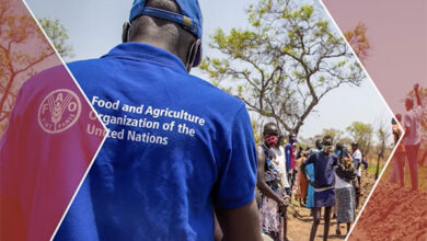 FAO Hiring – Programme Associate (G-6) Opportunity, Apply By Sept 10