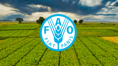 FAO Hiring: Assistant Representative (Programme) 2025 – Apply Now!