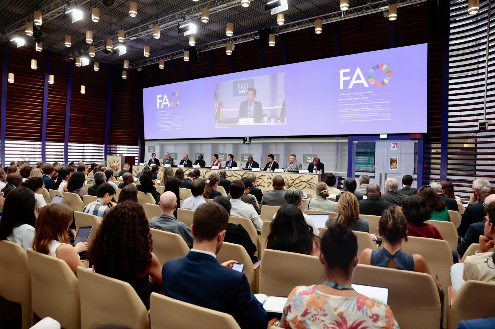 Finance Assistant Vacancy At FAO HQ - Apply By 17 September 2025