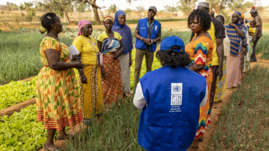 UNDP Is Hiring Human Resources Associate (NPSA-6) – Kuala Lumpur: Join a Global Shared Services Hub Supporting the United Nations Workforce