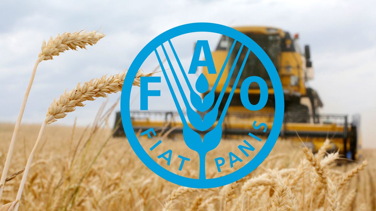 FAO Is Hiring Multiple Home-Based Jobs for 2026 – Apply Now!