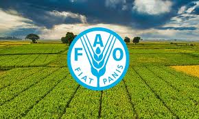 FAO Is Hiring Multiple Home-Based Jobs for 2026 – Apply Now!