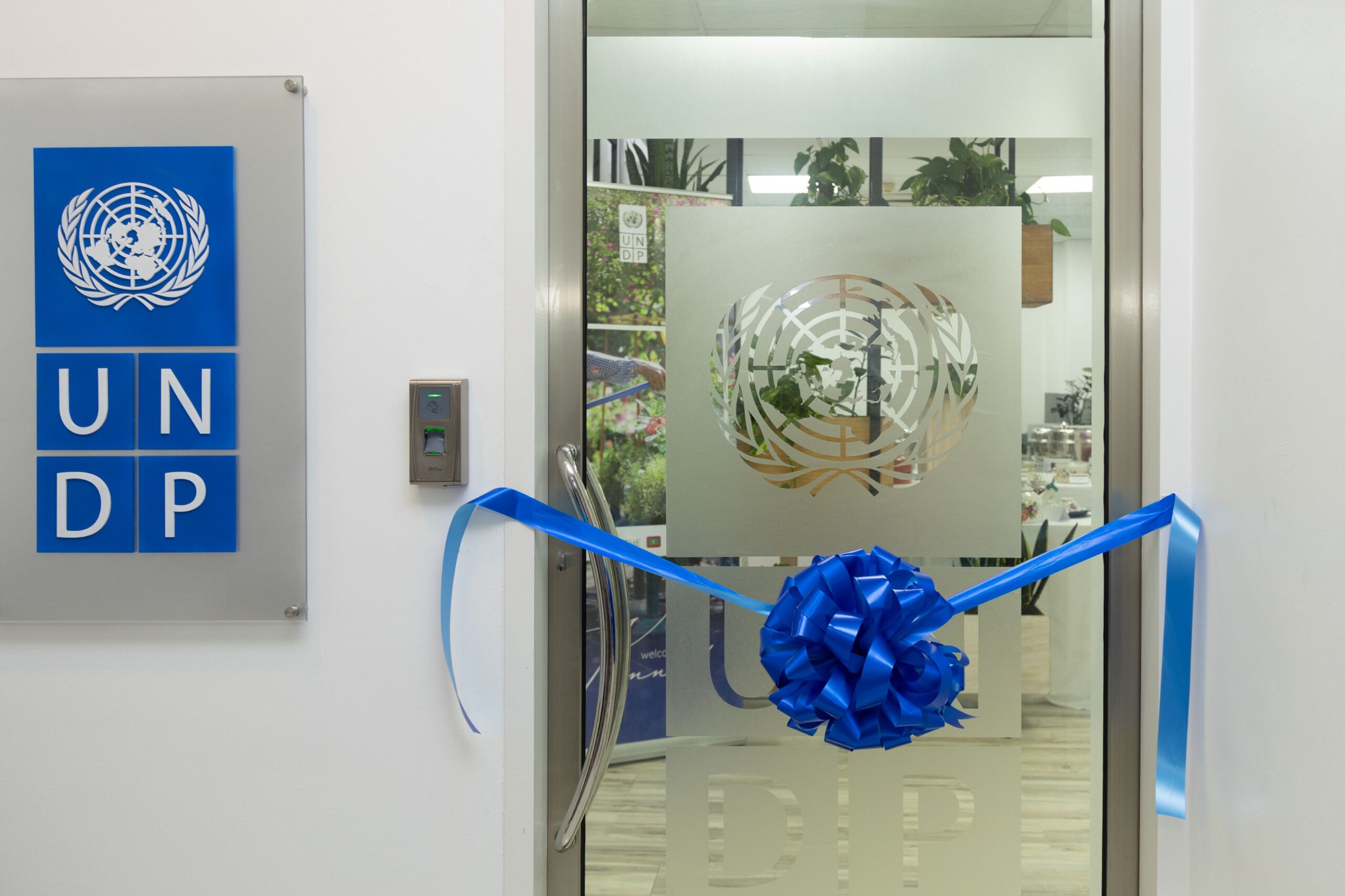 UNDP Administrative Assistant (NPSA-4) – Mexico: Join a Global Mission Supporting International Cooperation and Sustainable Development