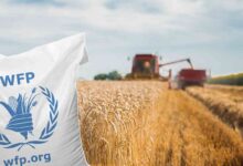 WFP Is Hiring Multiple Remote Jobs for 2026 – Apply Now!